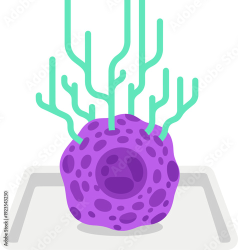 Stem cell therapy illustration depicts regeneration. A purple stem cell nurtures branching extensions on a lab tray. Modern, scientific graphic.