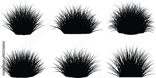 Collection of six distinct black silhouette vector graphics depicting dense clumps of spiky ornamental grass isolated against a white background for design use