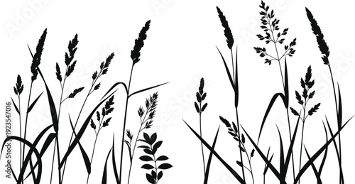 Black and white silhouette illustration showcasing various tall wild grasses and flowering meadow weeds growing together against a bright empty background.