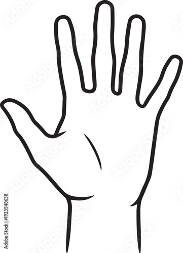  Delicate fingers, smooth curved lines, minimal aesthetic.