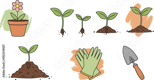 Detailed illustration depicting various stages of seed germination growth including a potted flower gardening gloves and a small trowel
