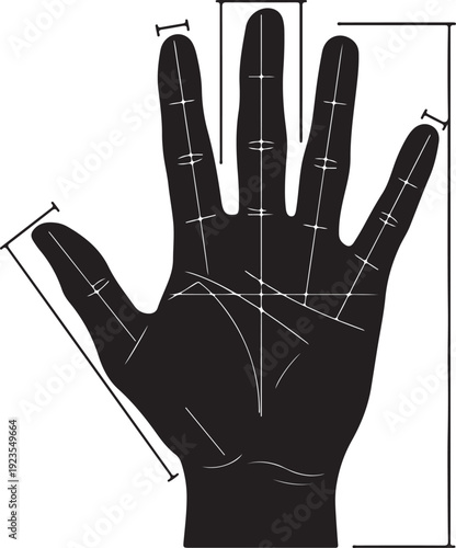 Hand outline highlighting finger proportions. on white background.
