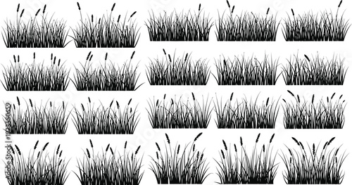 Collection of various black silhouette clumps of tall wild grass featuring flowering seed heads isolated on a clean white background for design elements.