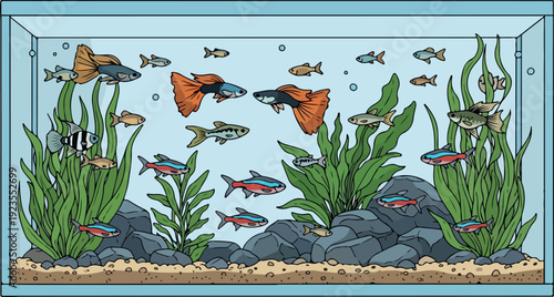 Aquarium Fish Variety Isolated on Transparent Background Flat 2D Vector