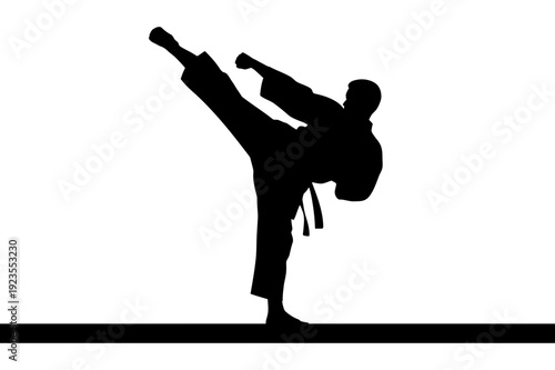 A black silhouette of a martial artist performing a high kick