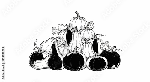 A bountiful arrangement of assorted gourds and pumpkins, some solid black, some striped
