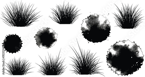 Set of detailed black ink silhouette brushes featuring clumps of tall ornamental grass alongside various grunge watercolor splatter shapes isolated on white
