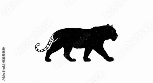 A black panther walks with its tail curled elegantly