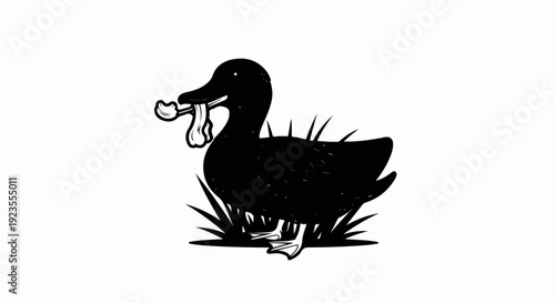 A black duck stands in grass with a piece of food in its beak