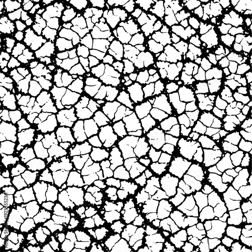 Fine crack network black white texture