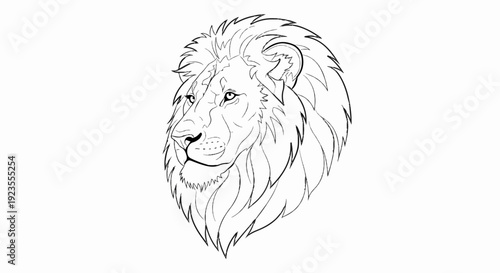 A black and white sketch of a lion's head with a majestic mane