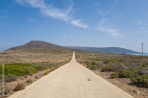A straight concrete road stretches across dry Mediterranean scrubland toward distant hills and the sea in Asinara National Park, Sardinia. The scene is sunlit and expansive under a clear blue sky
