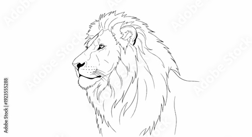 A black and white sketch of a lion's head facing left