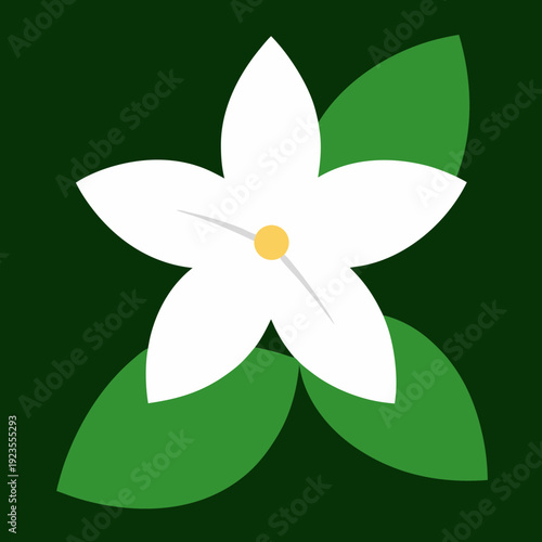 Simple white five-petal flower with green leaves on a dark green background.