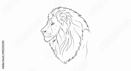 A black and white sketch of a lion's head and mane
