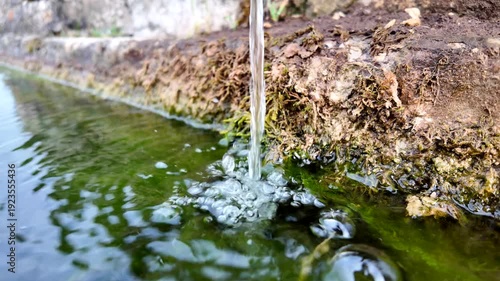 Close-up slow motion shot of a water stream hitting the surface of a mossy stone basin, creating beautiful bubbles and ripples.