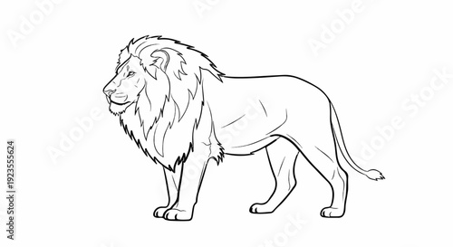 A black and white outline drawing of a lion with a full mane, standing on a white background