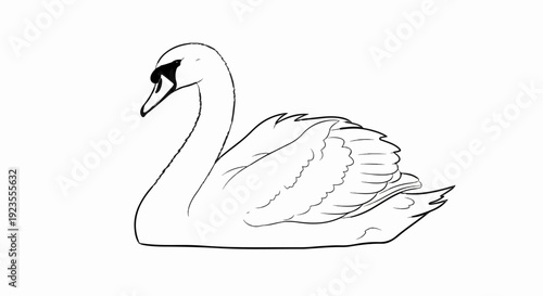 A black and white outline drawing of a graceful swan resting on a white background
