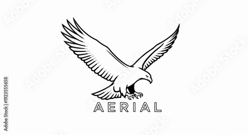 A black and white line drawing of an eagle with outstretched wings above the word AERIAL