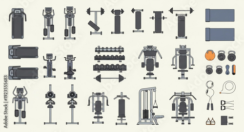Gym equipment collection - diverse exercise machines and fitness tools for workouts.