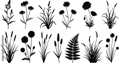 Collection of twelve distinct black silhouette illustrations featuring various wild meadow flowers grasses and detailed ferns presented in a clean vector graphic set