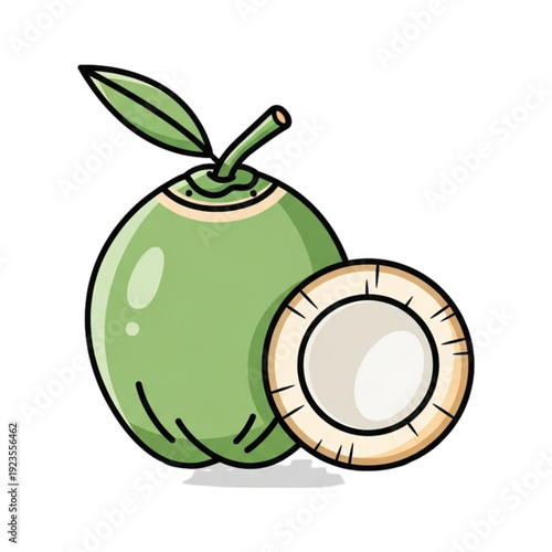 Fresh Green Coconut Illustration