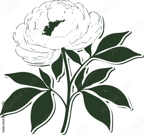 Minimalist natural floral vector sticker of peony flower with leaves, bold black thick clean outline, pure white background