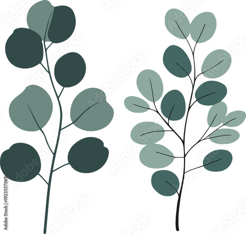  Minimalist natural floral vector sticker of eucalyptus branch with round leaves, bold black thick clean outline, pure white background