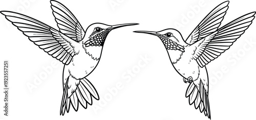 Two hummingbirds flying in mid air with spread wings and long beaks facing each other cad drawing flat vector illustration medical icon, line