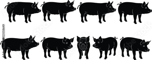 Black silhouettes of pigs and hogs in various standing and profile poses isolated on white background for farm animal and livestock designs