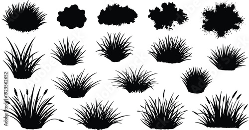 Collection of assorted black silhouette vector graphic elements depicting various types of detailed wild grasses and small marsh plants isolated on white