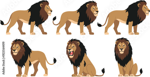 Majestic Lion Collection Vector Illustration Set with Different Poses Isolated on White Background for Wildlife Safari and Animal Design