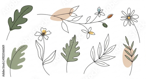 Botanical illustration of various leaves and flowers in minimalist line art style with green and beige hues on white background