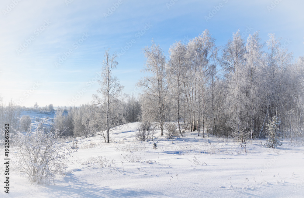 Obraz premium Frosty morning, beautiful trees in snow and frost