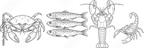 Hand-drawn vector illustration set of marine life and insects featuring a crab, sardines, lobster, and a scorpion in detailed black and white line art isolated on white background.