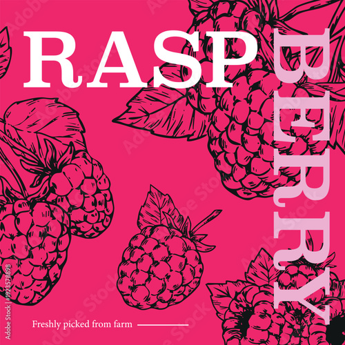 Raspberry line art graphic design
