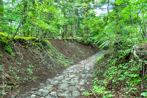 歴史を刻む石畳：富士山吉田口登山道の古道と苔むす森の静寂 / Historical Cobblestones: An Ancient Path on the Mt. Fuji Yoshida Trail and the Serenity of the Mossy Forest
