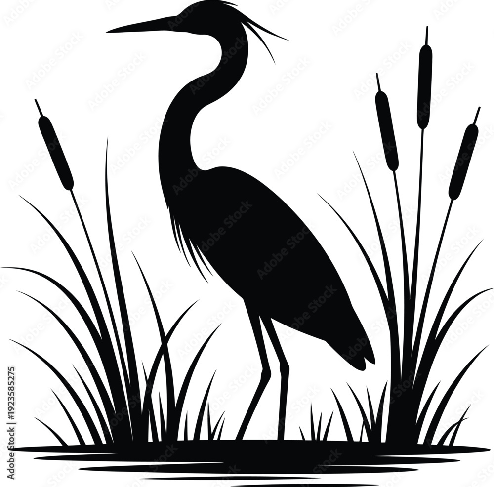 Fototapeta premium Silhouette of a great blue heron standing among cattails and marsh grass in water, wildlife vector graphic