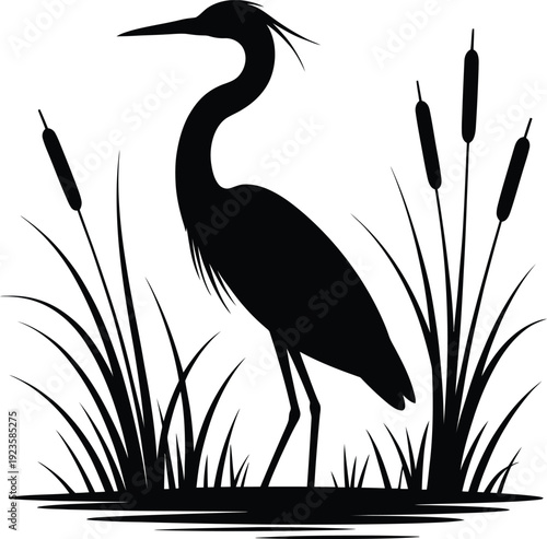 Silhouette of a great blue heron standing among cattails and marsh grass in water, wildlife vector graphic