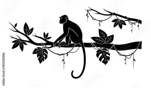 Langur monkey on tree branch jungle silhouette hand drawn vector illustration
