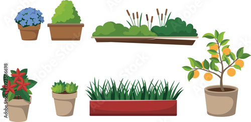 Collection of potted plants and garden flowers with citrus tree and greenery isolated on white background, flat vector illustration