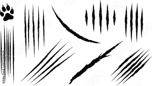 Claw Mark and Paw Print Vector Collection Featuring Wild Animal Scratch Designs and Feline or Canine Footprint Symbols for Tattoo, Logo, and Graphic Projects