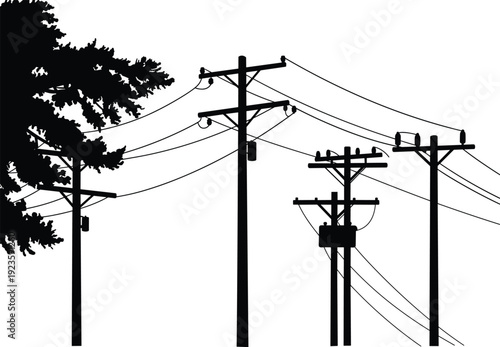 Silhouette utility poles, electricity distribution network, transformers and insulators, power line infrastructure, tree silhouette, urban energy grid, electrical system, industrial skyline