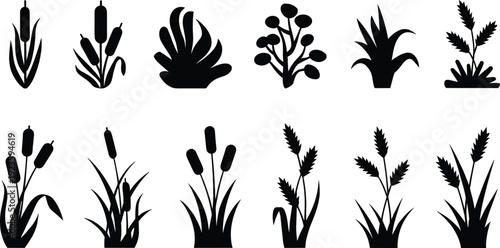 Cattail and wheat grass silhouettes collection, black wetland and agricultural plants isolated on white background for landscape design