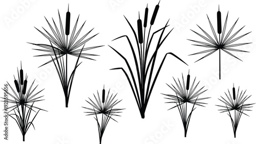 Cattail reed silhouette set, papyrus grass bundle, wetland plant collection, black botanical shapes, nature marsh icons, flat vector illustration