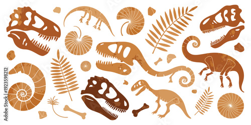 Collection of Dinosaur Skeletons and Fossils in Warm Earthy Tones, Detailed Prehistoric Bones Illustration Isolated on White Background for Educational Prints, Museum Posters and Paleontology Design