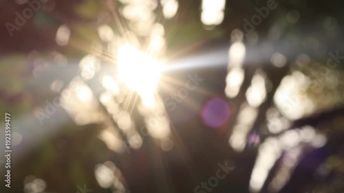 Warm morning sunlight shining through leaves with soft bokeh and lens flare. Natural, fresh and relaxing atmosphere. Ideal for background, wellness, hope and positive energy concepts