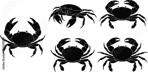 Crab silhouette collection featuring detailed marine crustacean designs, ocean wildlife vector artwork perfect for seafood themes, coastal graphics, nautical projects, illustrations