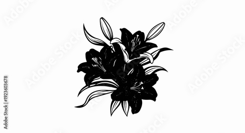Detailed black and white illustration of multiple open lilies and buds