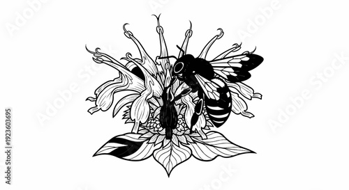 Detailed black and white line art illustration of a bee on a blooming flower